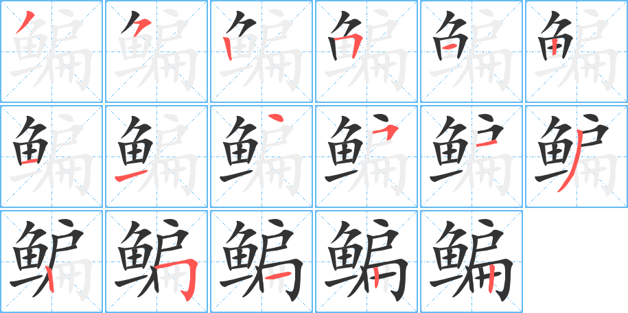 鳊字的笔顺分布演示